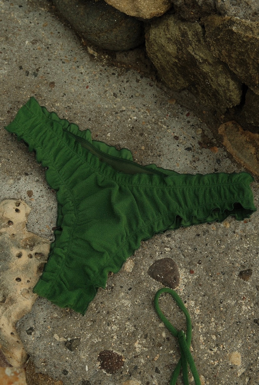 The Lola bottom - Algae